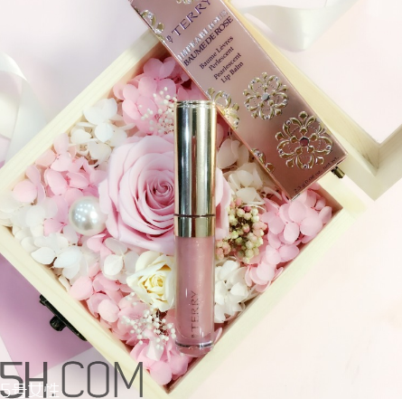 byterry玫瑰唇蜜好用嗎？byterry玫瑰唇蜜多少錢？