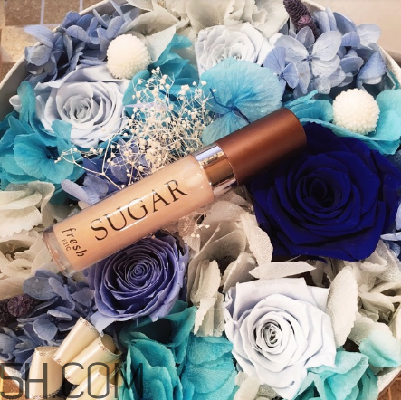 fresh唇蜜好用嗎？fresh唇蜜多少錢？