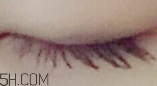 巧迪尚惠睫毛膏多少錢？巧迪尚惠睫毛膏怎么用