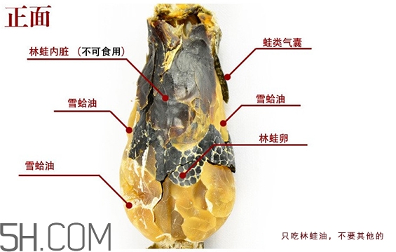 林蛙哪些部位不能吃？林蛙有什么營養(yǎng)