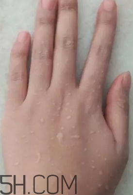 巧迪尚惠bb霜好用嗎？巧迪尚惠bb霜評測