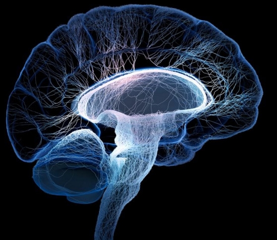 腦死亡和人死亡有什么區(qū)別？腦死亡人還有救嗎