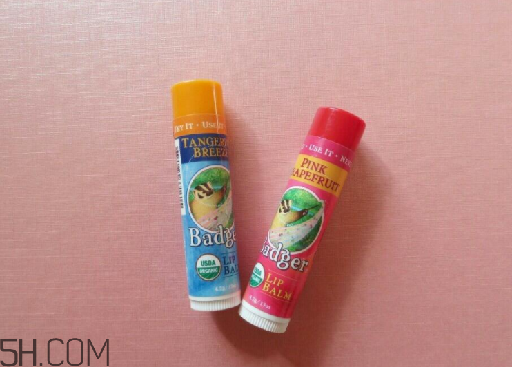 badger潤唇膏好用嗎？badger潤唇膏多少錢？