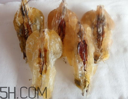 雪蛤多久吃一次？吃雪蛤要注意些什么