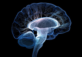 腦死亡和人死亡有什么區(qū)別？腦死亡人還有救嗎