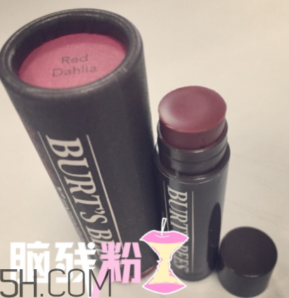 小蜜蜂有色唇膏孕婦可以用嗎？小蜜蜂有色唇膏好用嗎？