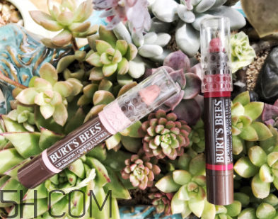 小蜜蜂唇膏筆多少錢？小蜜蜂唇膏筆很貴嗎？