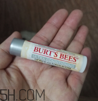 小蜜蜂細致修護唇膏很油嗎？夏天用合適嗎？