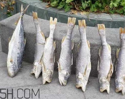 咸魚(yú)長(zhǎng)毛還能吃嗎？怎樣辨別咸魚(yú)是否變質(zhì)