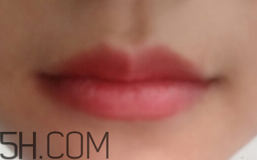 小蜜蜂口紅好用嗎？小蜜蜂口紅試色