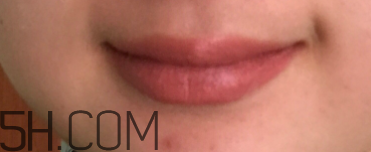 小蜜蜂口紅好用嗎？小蜜蜂口紅試色