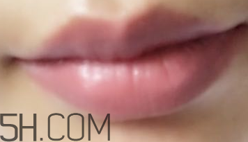 小蜜蜂口紅好用嗎？小蜜蜂口紅試色