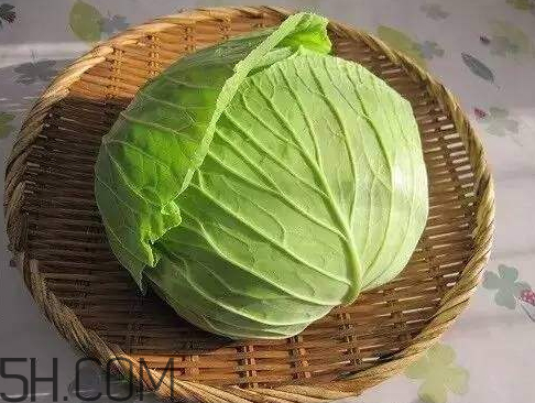 卷心菜熱量是多少 一個卷心菜熱量 卷心菜熱量是多少 一個卷心菜熱量