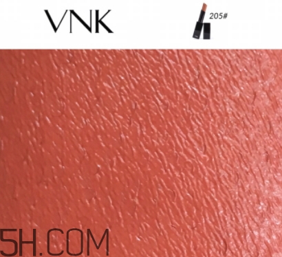 vnk口紅南瓜色色號試色