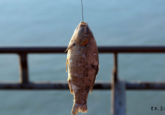 咸魚什么人不能吃？怎樣去除咸魚的咸