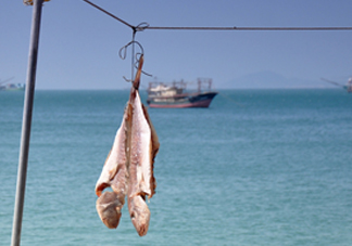 咸魚有營養(yǎng)嗎？咸魚怎么腌制家常做法