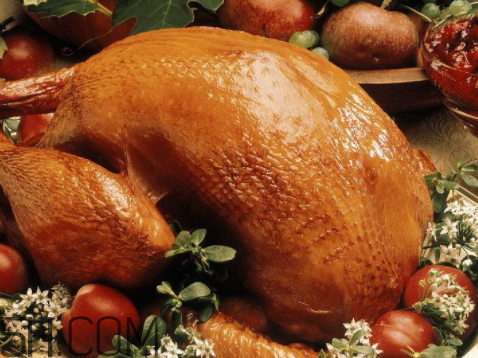 火雞是哪個國家的 西方吃火雞是什么節(jié)日 火雞是哪個國家的 西方吃火雞是什么節(jié)日