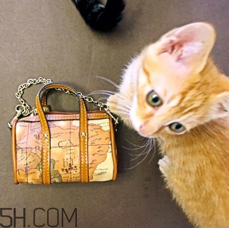 sobdeall包包什么檔次？sobdeall是輕奢品牌嗎？