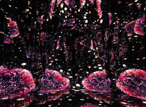 海藍(lán)之謎鎏金煥顏精華眼霜多少錢？好用嗎？