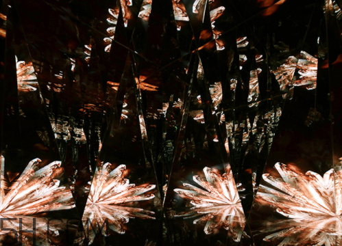 海藍(lán)之謎鎏金煥顏精華液多少錢？怎么用？