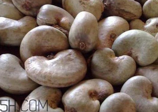 腰果有殼嗎？為什么沒有賣的腰果梨