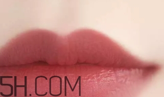 干玫瑰色口紅哪個(gè)牌子好？干玫瑰色口紅真人試色