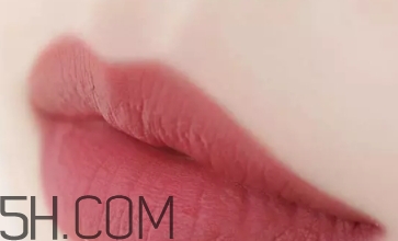 干玫瑰色口紅哪個(gè)牌子好？干玫瑰色口紅真人試色