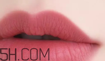 干玫瑰色口紅哪個(gè)牌子好？干玫瑰色口紅真人試色