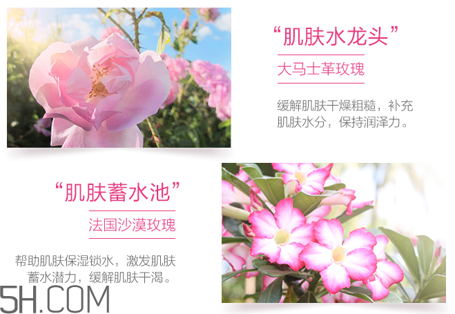 御泥坊玫瑰滋養(yǎng)面膜 御泥坊玫瑰滋養(yǎng)面膜