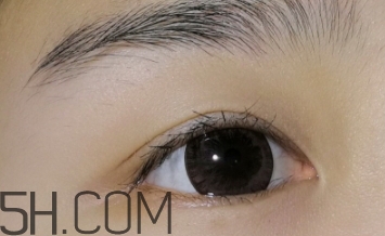 sakinre莎琪麗睫毛膏好用嗎？莎琪麗睫毛膏多少錢