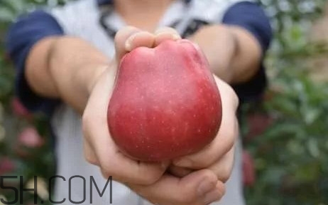 如何鑒別花牛蘋果？為什么叫花牛蘋果