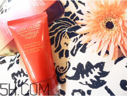 雅詩蘭黛紅石榴日霜和晚霜哪個好？雅詩蘭黛紅石榴泡澡面膜好用嗎？