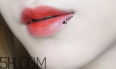 mac lady bug好看嗎？lady bug試色