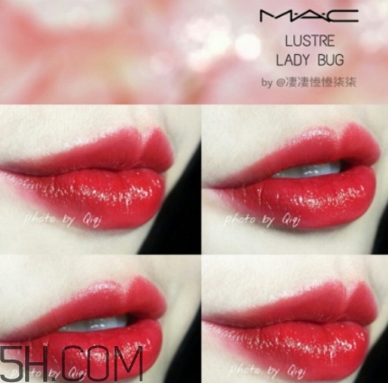 mac lady bug好看嗎？lady bug試色
