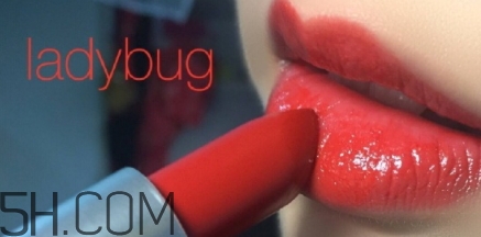 mac lady bug掉色嗎？mac ladybug真假辨別