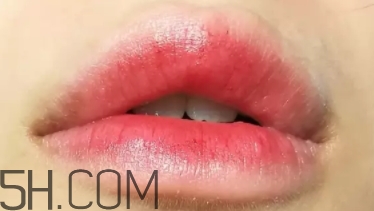 mac lady bug掉色嗎？mac ladybug真假辨別