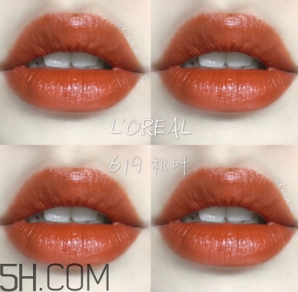歐萊雅619秋葉試色 歐萊雅金管619好看嗎？