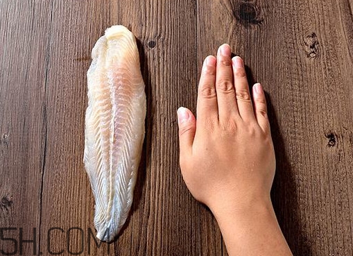 巴沙魚怎么解凍？巴沙魚怎么切片