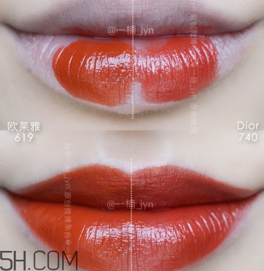 歐萊雅619和迪奧740像嗎？歐萊雅619秋葉和迪奧740對(duì)比