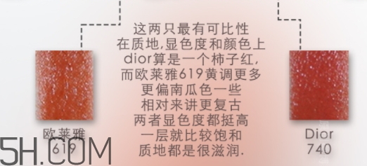 歐萊雅619和迪奧740像嗎？歐萊雅619秋葉和迪奧740對(duì)比