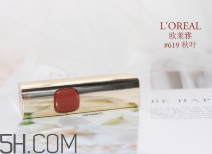 歐萊雅619和迪奧740像嗎？歐萊雅619秋葉和迪奧740對(duì)比