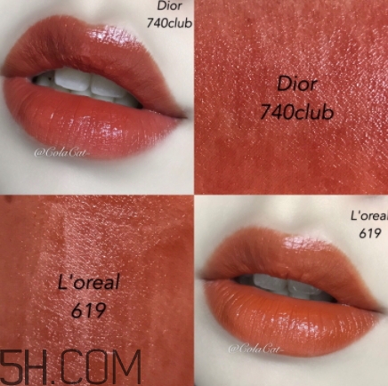 歐萊雅619和迪奧740像嗎？歐萊雅619秋葉和迪奧740對(duì)比