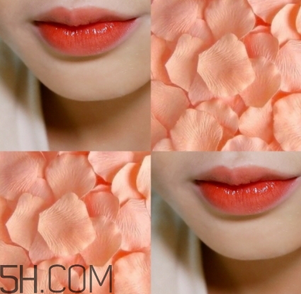 歐萊雅619和迪奧740像嗎？歐萊雅619秋葉和迪奧740對(duì)比