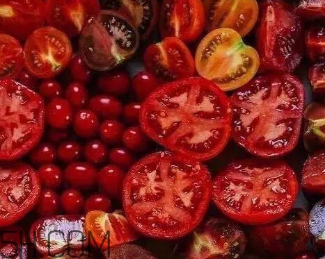 爛番茄色是什么顏色？爛番茄色口紅試色