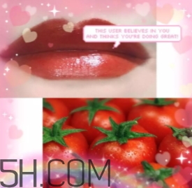 爛番茄色口紅哪個牌子好？爛番茄色口紅推薦