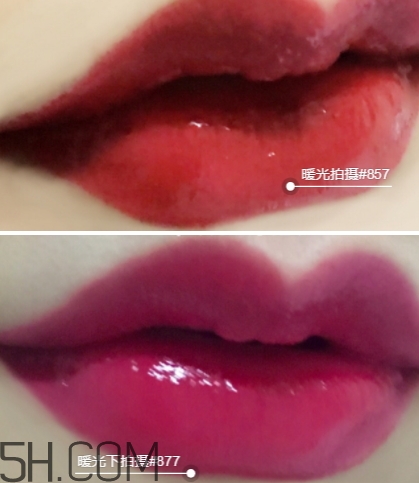 迪奧857和877哪個(gè)好看？迪奧857和877試色對比