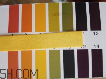 凱伊秀青春緊膚霜多少錢？凱伊秀青春緊膚霜價格