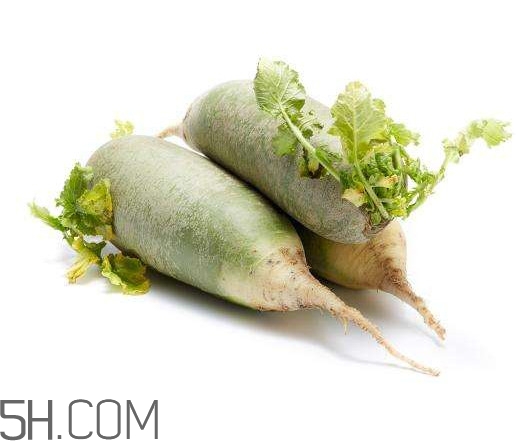 沙窩蘿卜什么時(shí)候上市？沙窩蘿卜多少錢一斤