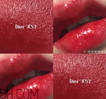 迪奧857和877哪個(gè)好看？迪奧857和877試色對比
