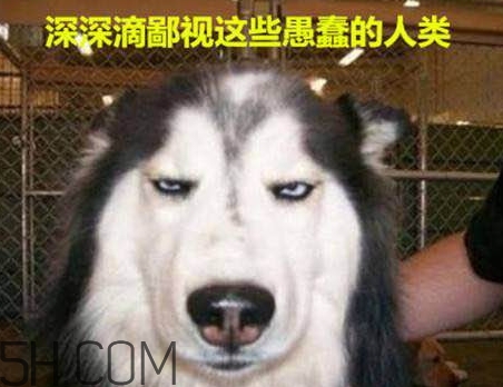 女生說我醉了什么意思？女生說喝多了怎么回復(fù)